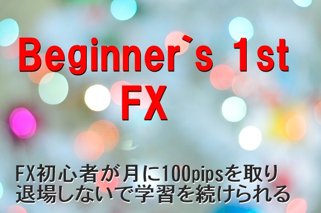 Beginner`s 1st FX レビュー