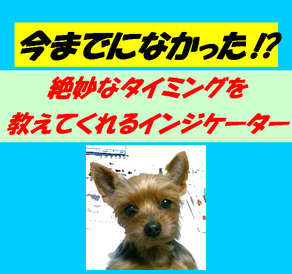 【勝ち報告多数！！】トレードが簡単になるインジケータ―！トレンドを初動で捉えてくれる優れ物！！    