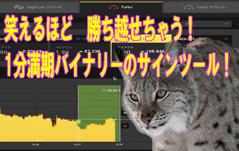 バイナリーオプション60秒取引で勝ち越し更新中！楽々セッティングのテンプレート付属で必勝法ロジック解説