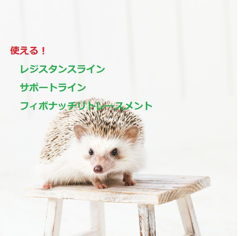 相場参加者の大多数がみているフィボナッチリトレースメントとサポートライン・レジスタンスラインの描画を自動的に行います。