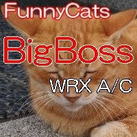 FC_BigBoss_WRX_A/C EA