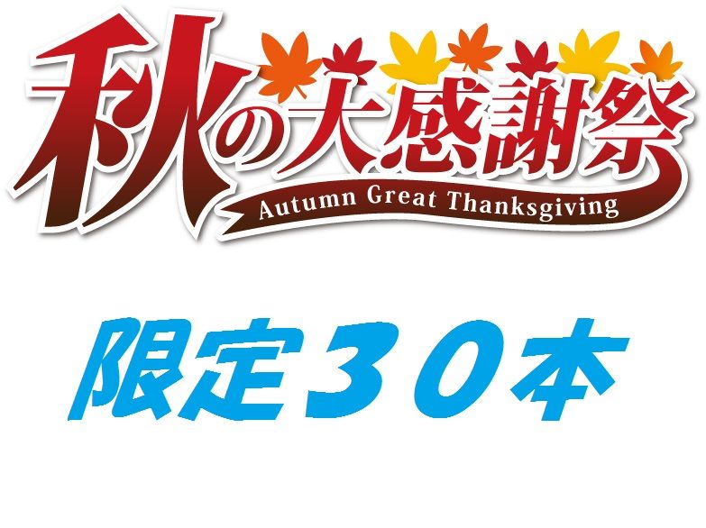 Eckesachs EURUSDとWGEsystem USDJPYのお得なセット