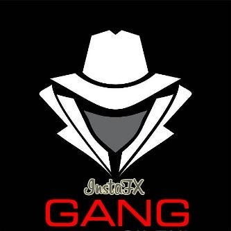 InstaFX-GANG 検証