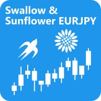 期間限定！好調な2つのEAのお買い得セットです！