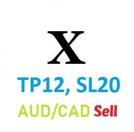 Xシリーズ第１弾『TP12,SL20』の損小利小EA