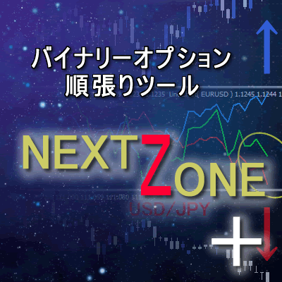 【完結】バイナリー順張り手法　『 NEXT ZONE ＋ ２』 評判・レビュー