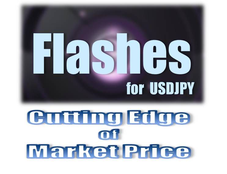 Flashes for USDJPY 再販セット