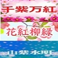  花紅柳緑と山紫水明と千紫万紅の期間限定のお得なセット販売