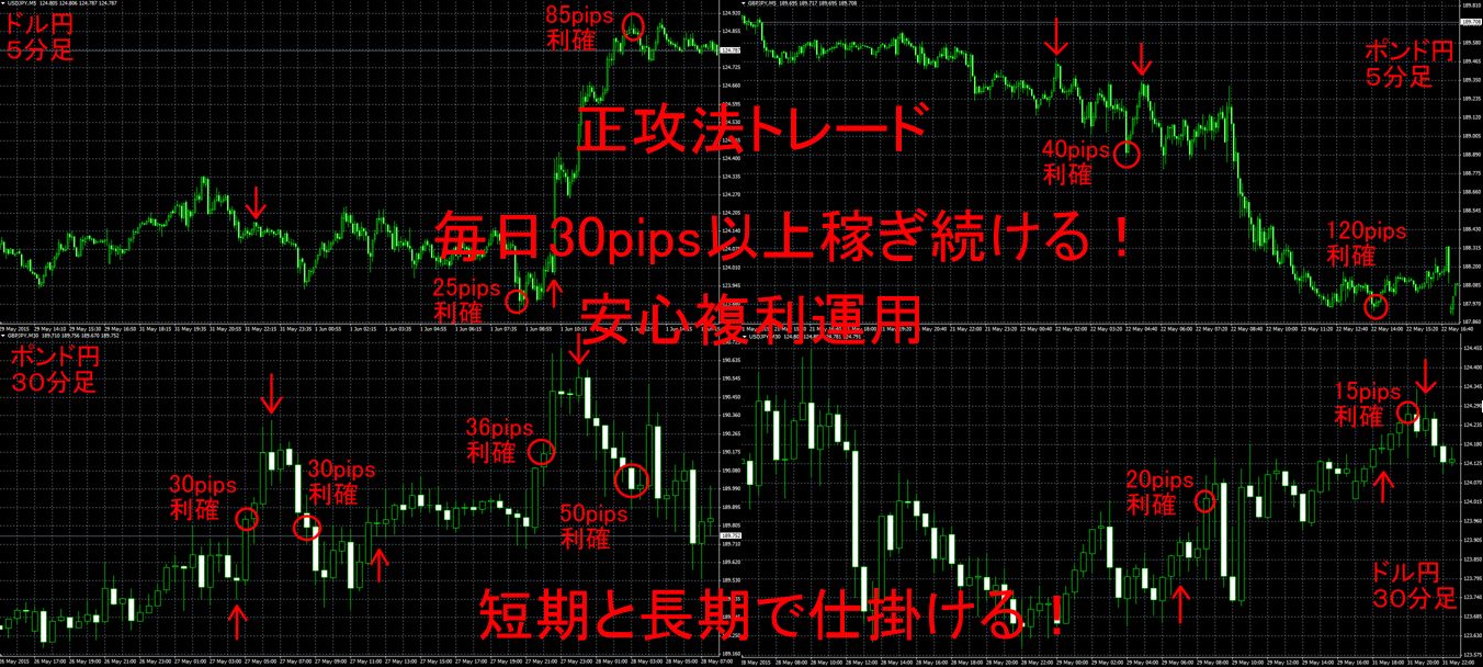 相場の良し悪しを見抜き　30pips以上の稼ぎを得るトレード！