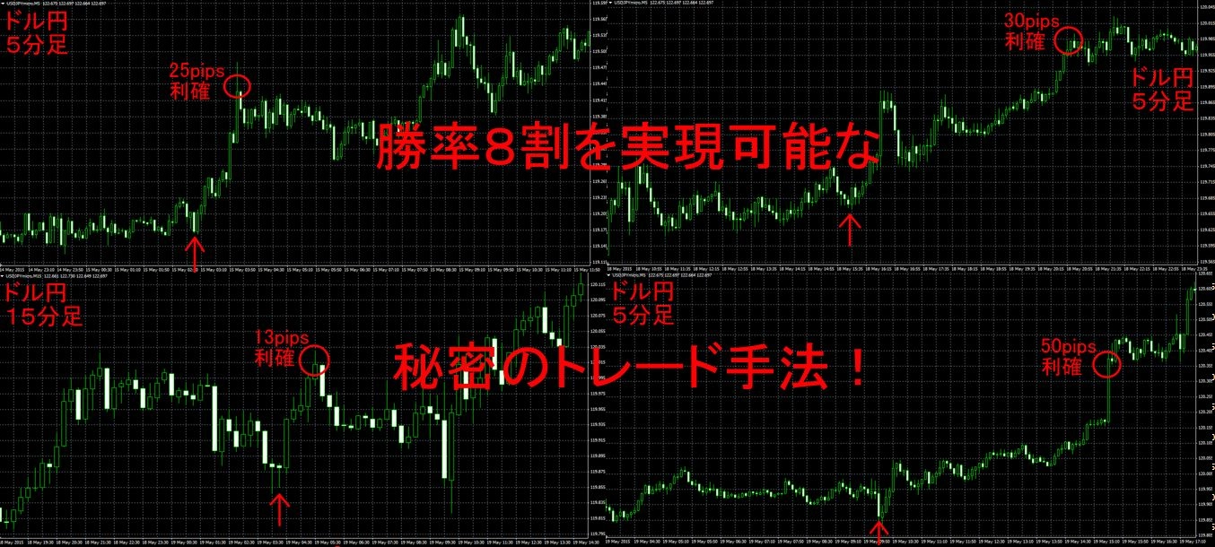 勝率８割を実現可能な　秘密のトレード手法 レビュー