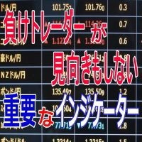 負けトレーダーが見向きもしないインジケーター