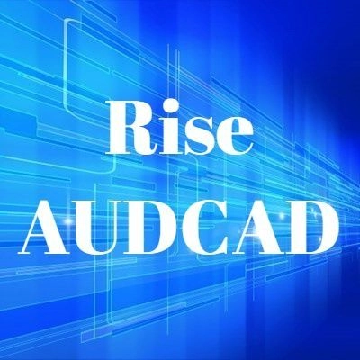 Rise AUDCAD レビュー
