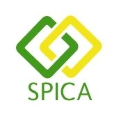 スピカ EURJPY レビュー