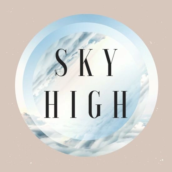 スカイHIGH レビュー