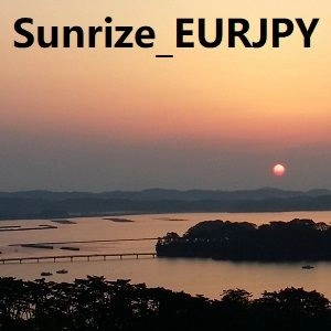 サンライズ EURJPY レビュー