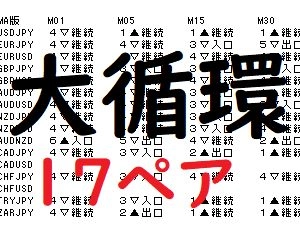 大循環１７通貨ペア レビュー