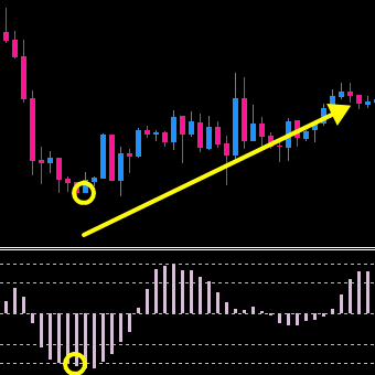継続的に勝ちまくるFX投資の極意 Forex Multi Power レビュー