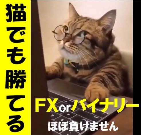 猫でも勝てるサインツール（FXorBO） レビュー