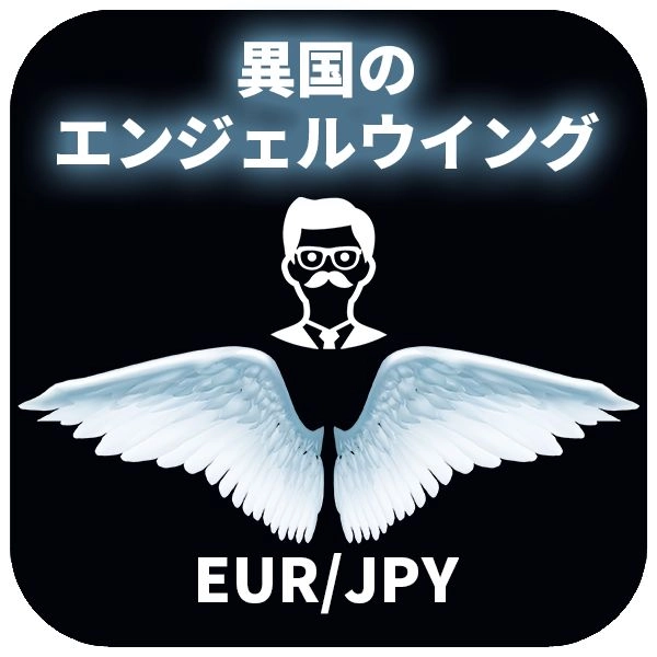 【異国のエンジェルウィング】 レビュー