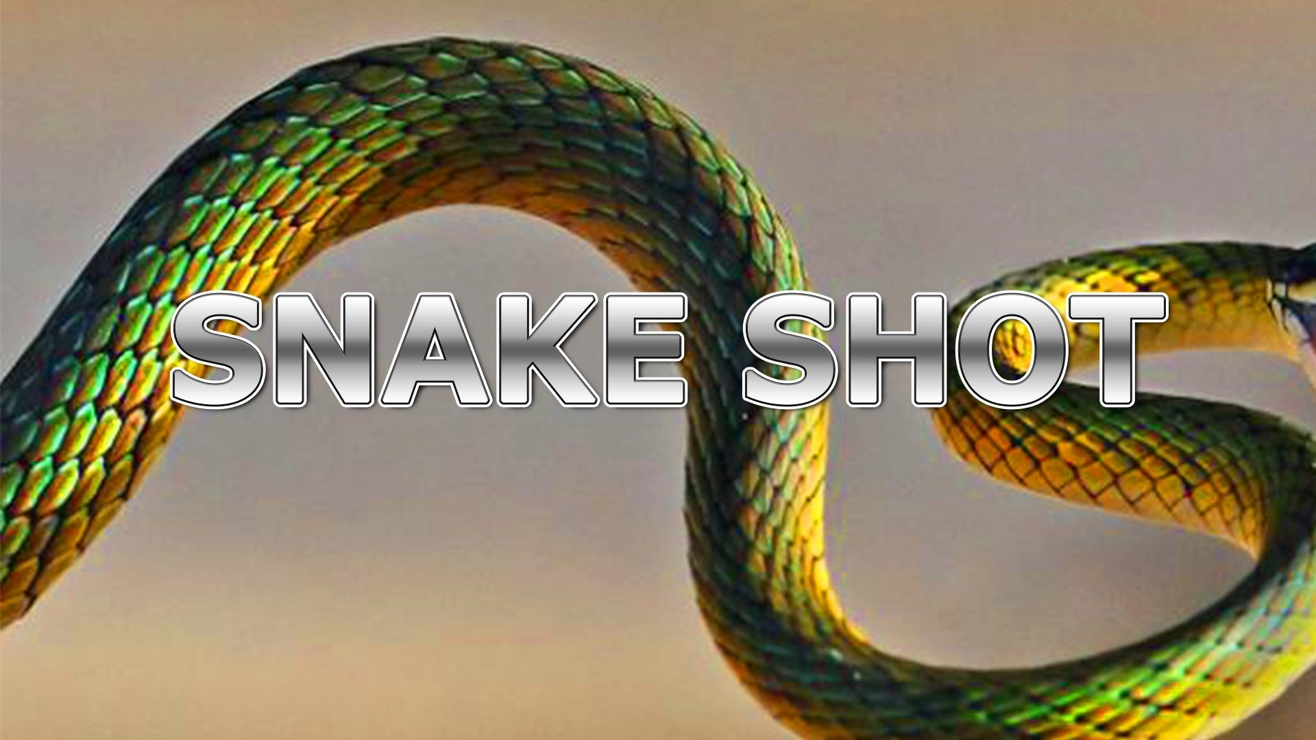 SNAKE SHOT（逆張りスキャルピング） レビュー