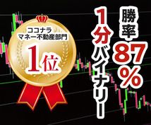 ココナラ・ヤフオクにて高評価！エントリーポイントを丁寧に解説したマニュアル付きです