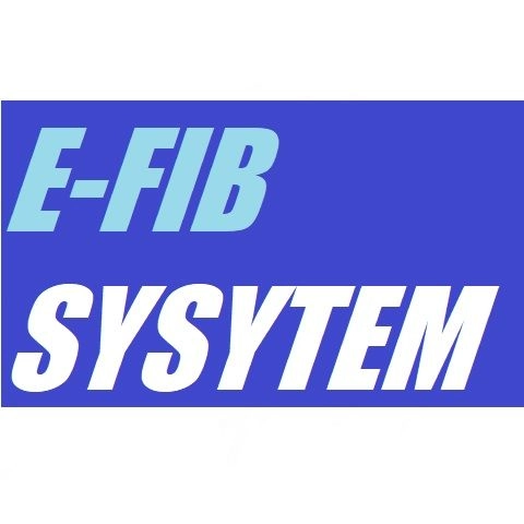 E-FIB SYSYTEM レビュー