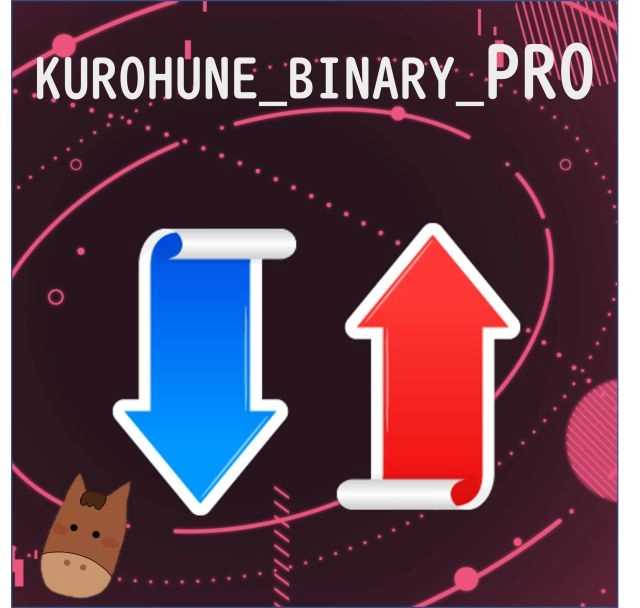 KUROHUNE_BINARY_PRO レビュー