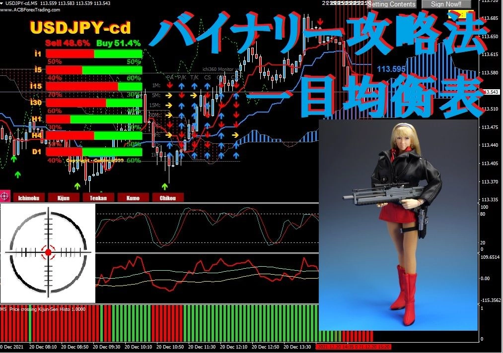 バイナリー攻略法（一目均衡表） レビュー