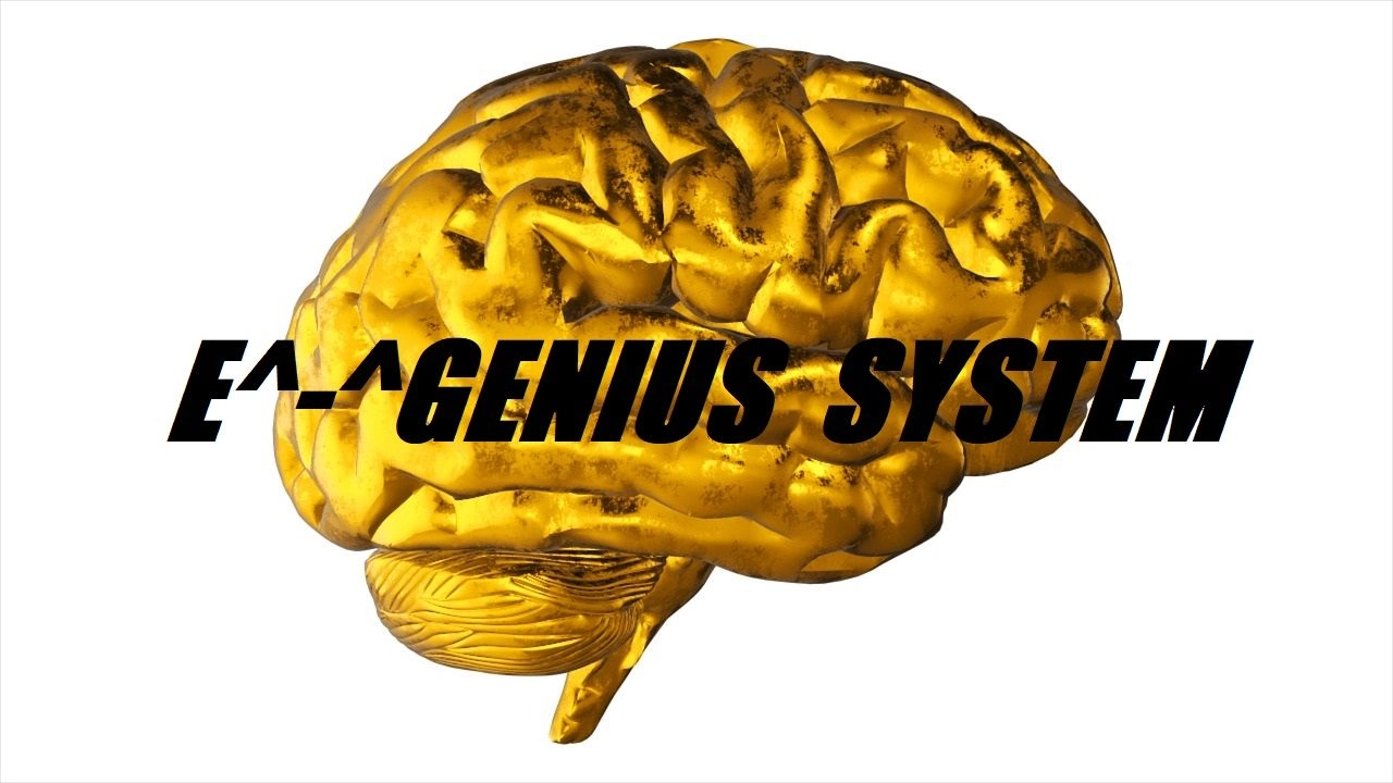 E^-^ GENIUS SYSTEM レビュー