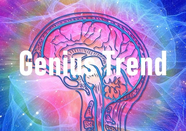 Genius Trend レビュー