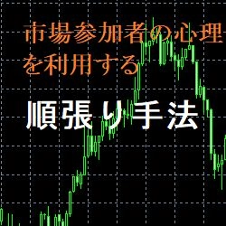 イメージするだけ！順張り手法 レビュー