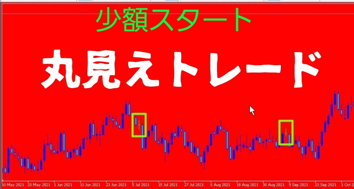 丸見えトレード 少額スタート レビュー