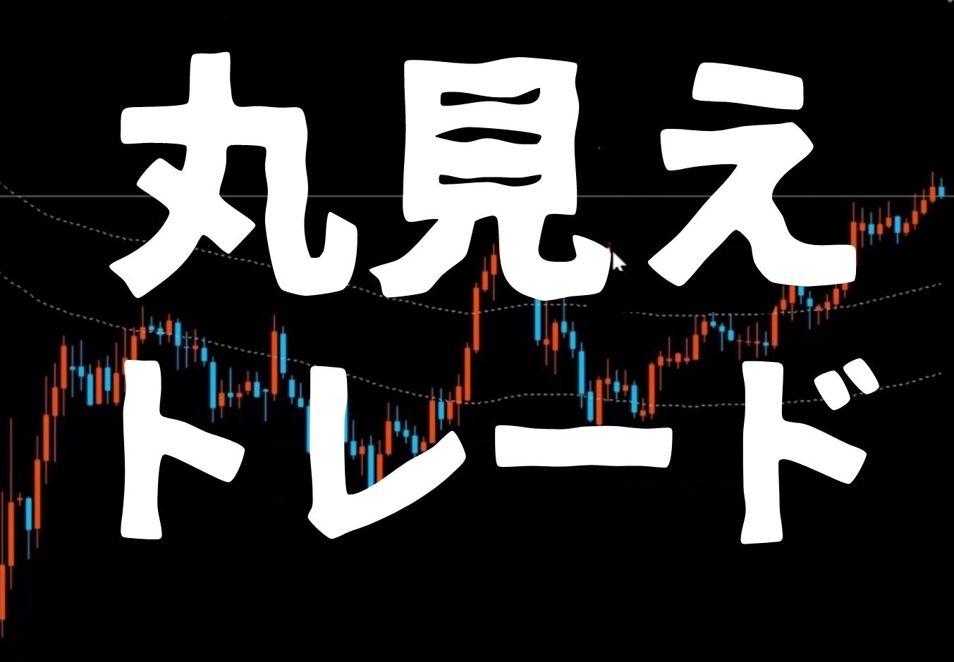 丸見えトレード 手法プラス レビュー