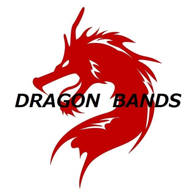 Dragon Bands レビュー