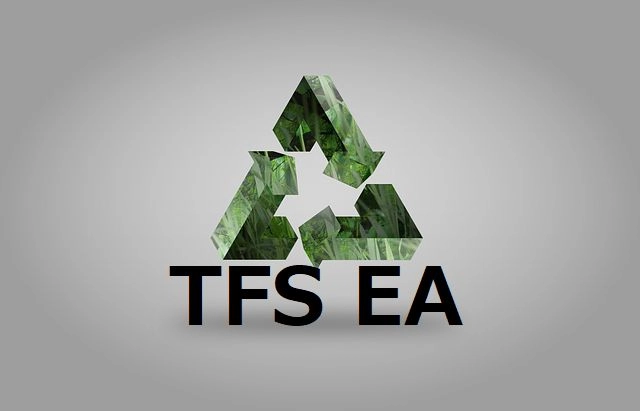 TFS EA レビュー