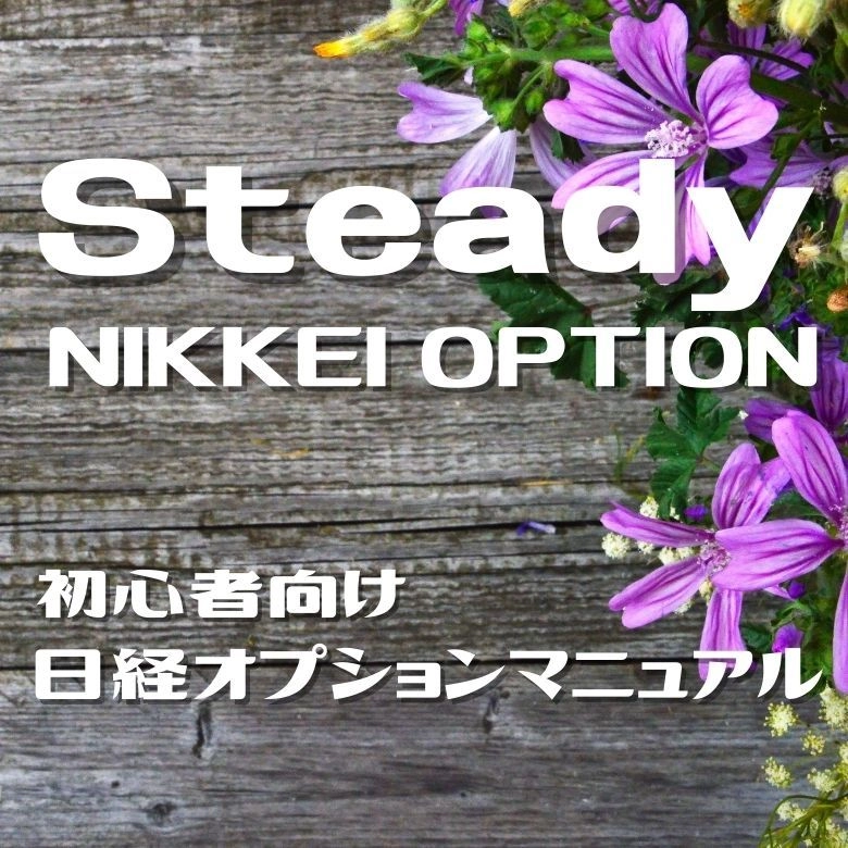 Steady NIKKEI OPTION レビュー