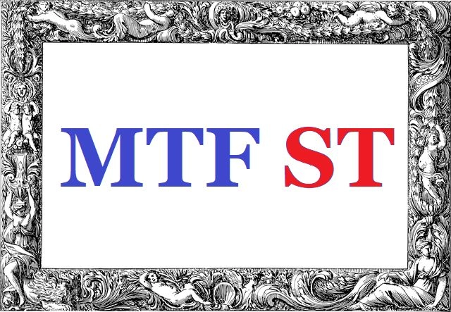 MTF ST レビュー