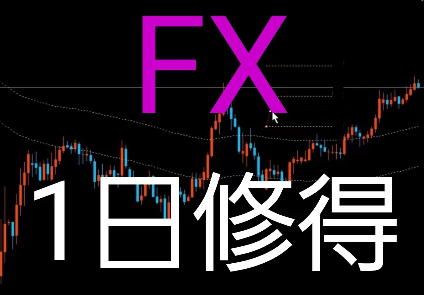 期間限定65000円、専業技術1日習得!