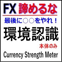 【本体】FX 諦めるな！最後に○○やれ！「環境認識」Pro Currency Strength Meter