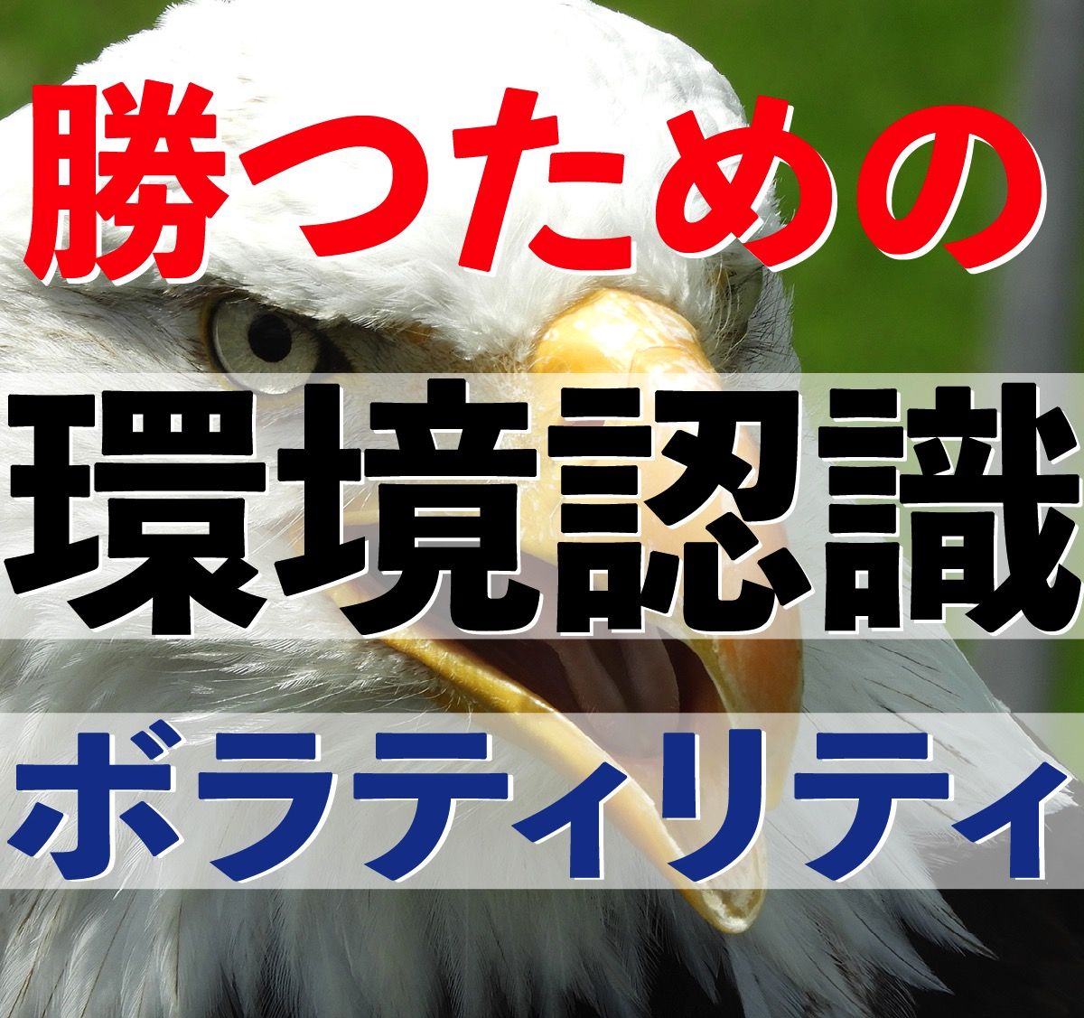 「ボラティリティの無い時間帯にトレードはしない」は勝つための鉄則で、当インジケータは過去のボラティリティの平均と現在の推移が一目で分かり、ボラティリティの無い時間帯のトレードを避けることができます。