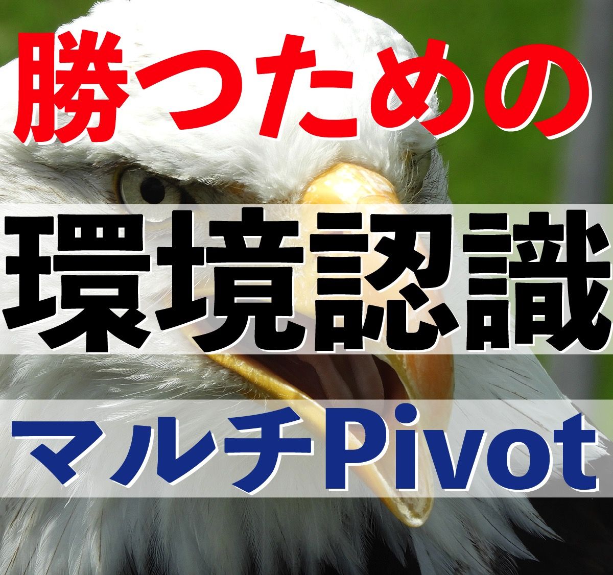 エントリーや利確・損切にPivotの活用は重要です。当Multi PivotインジケータはGMTタイムとUKタイムのいずれかあるいは両方のPivotを表示します。