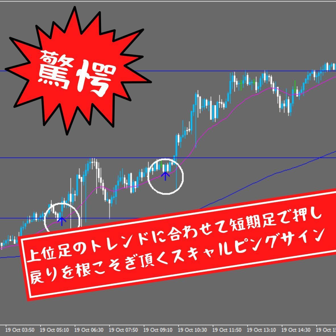 ※12月以降全セット69800円とさせて頂きます。「こんなのが欲しかった」短期売買で手堅く美味しい所を狙い撃ち、含み損をあまり抱えないノンストレストレードを実現。