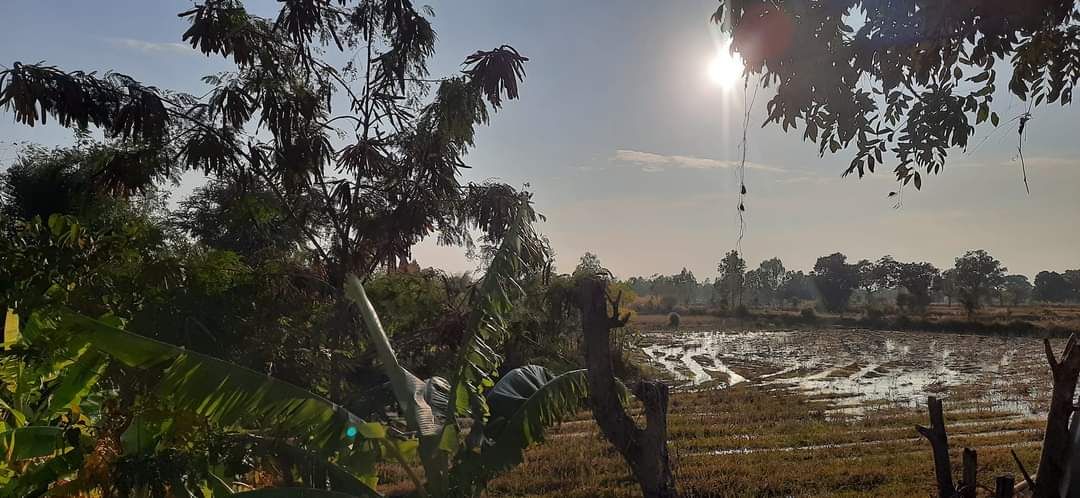 RSIを利用した最適エントリーによる逆張りトレード