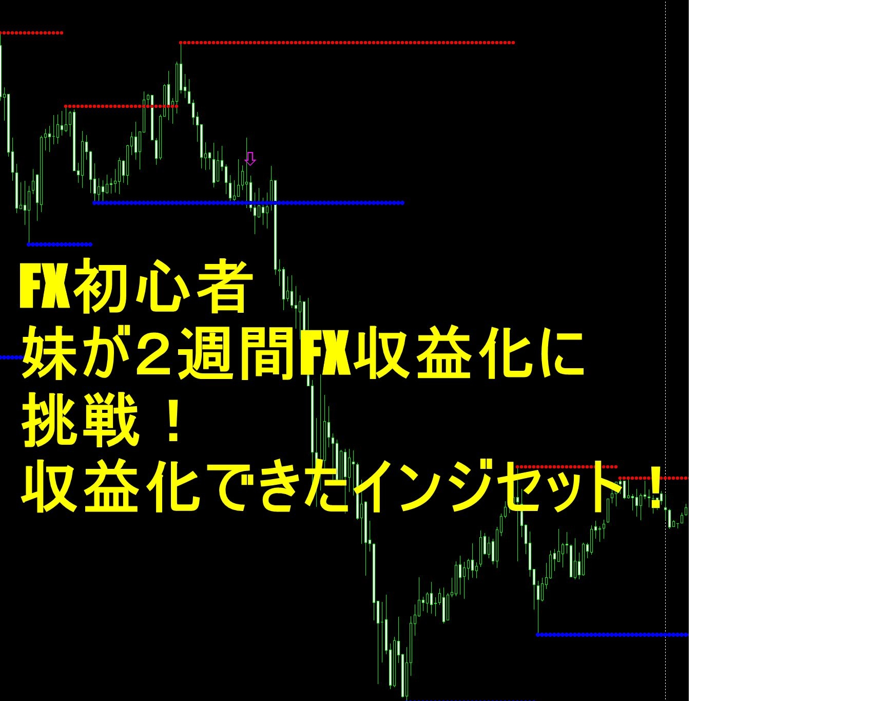 FX超初心者の妹が２週間FX収益化に挑戦！収益化できたインジセット！