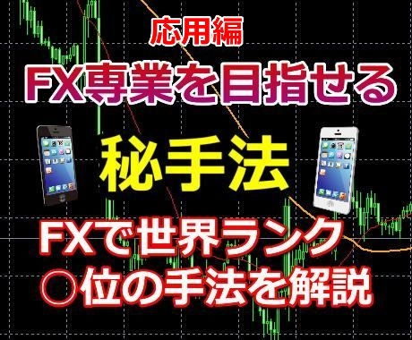 FX専業を目指せる秘手法を教えます。【応用編】