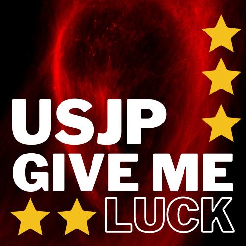 6041 USJP GIVE ME LUCK レビュー