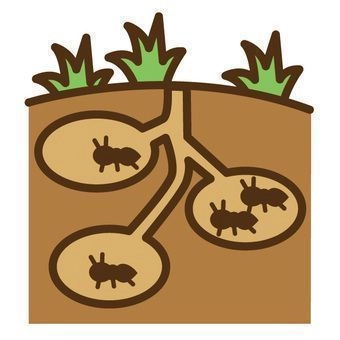 市場丸裸 USDJPY ≪限定≫キャンペーン版