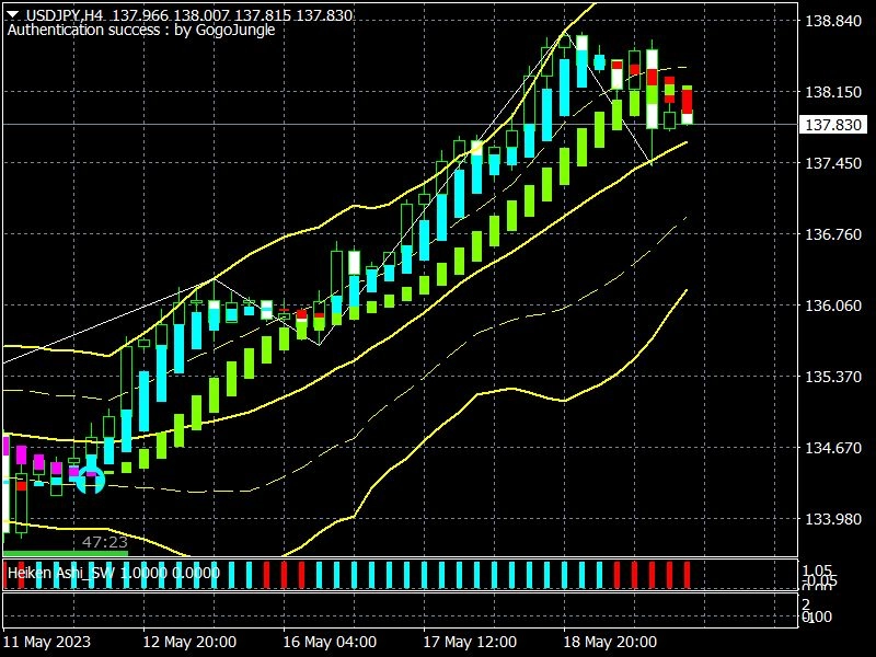 新くんのリアルトレード