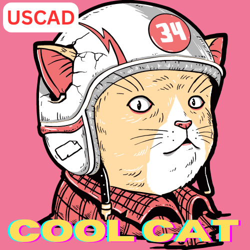 Cool Cat Cool Profit