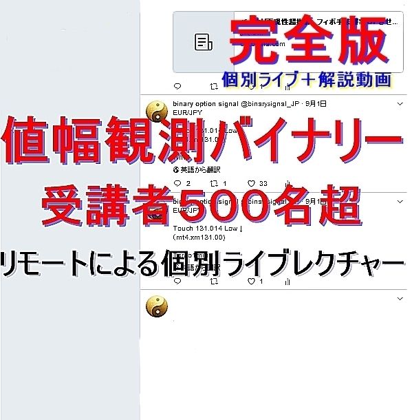 ビデオ通話による個別指導+動画の完全版